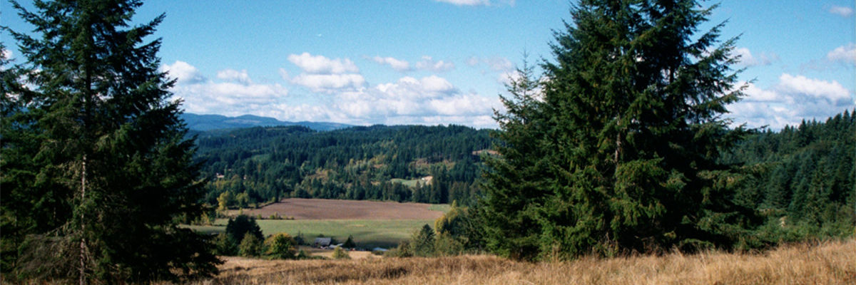 Bone Dry Ridge Farm